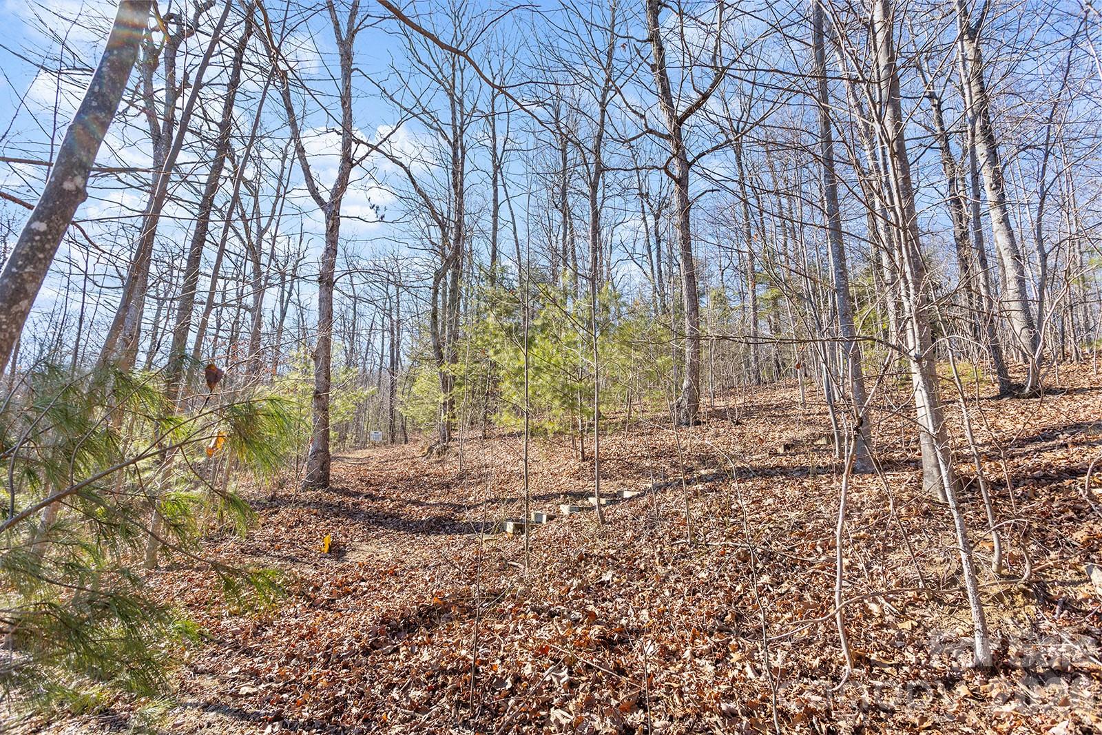 0000 Pinnacle Mountain Road Zirconia NC 28790