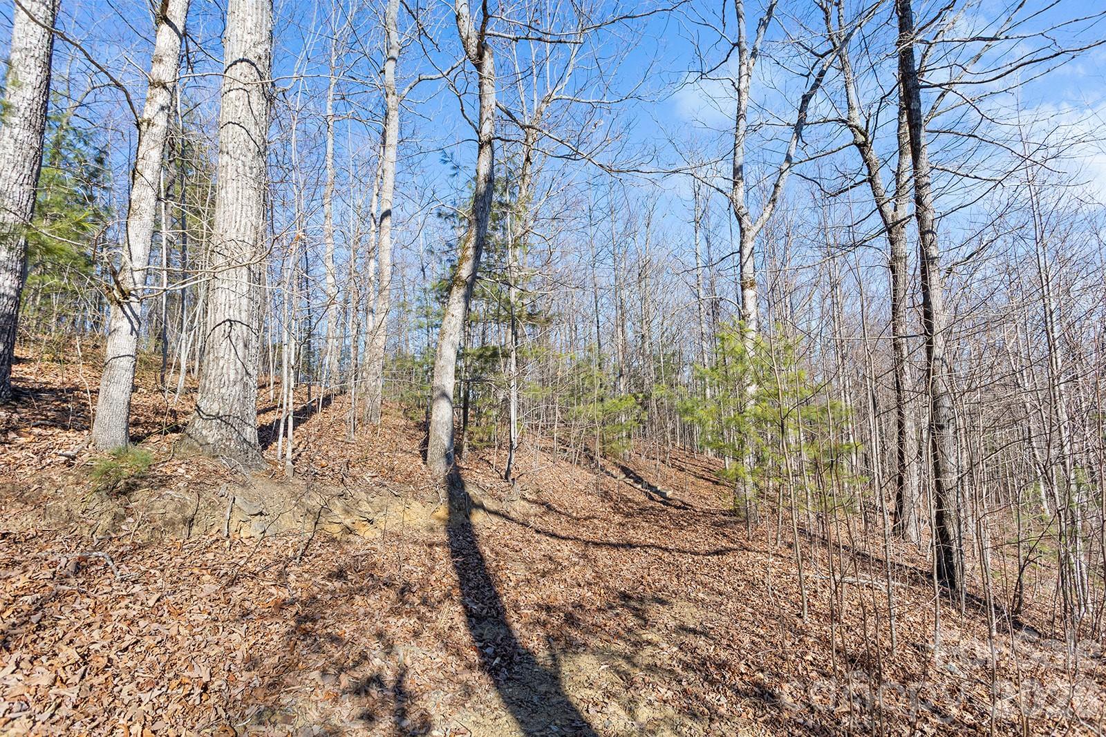 0000 Pinnacle Mountain Road Zirconia NC 28790