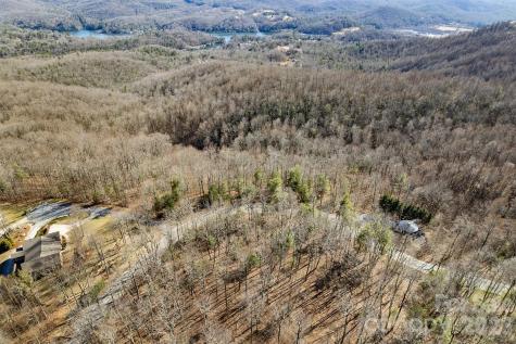 0000 Pinnacle Mountain Road Zirconia NC 28790