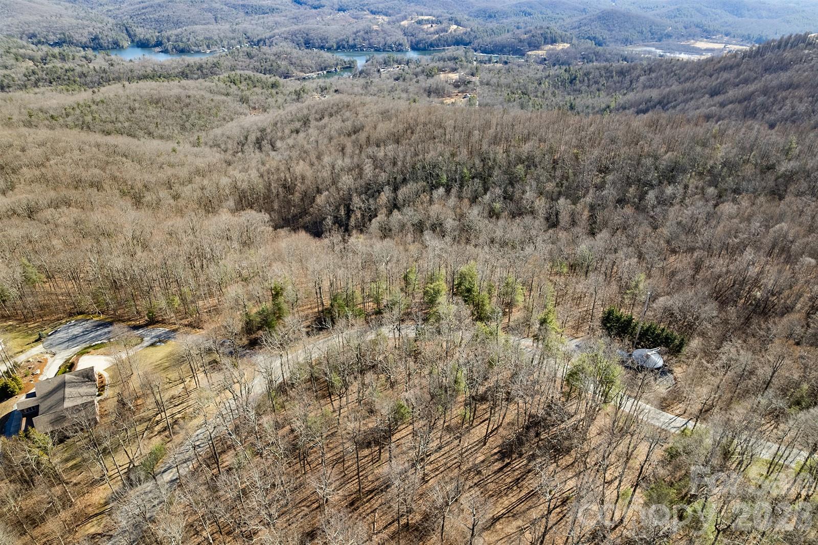 0000 Pinnacle Mountain Road Zirconia NC 28790