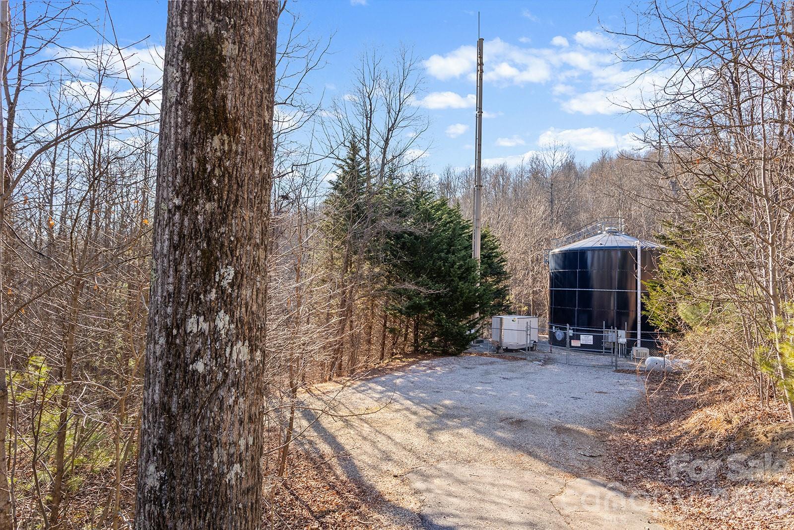 0000 Pinnacle Mountain Road Zirconia NC 28790
