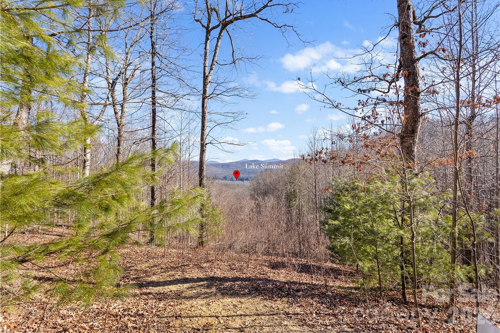 0000 Pinnacle Mountain Road Zirconia NC 28790
