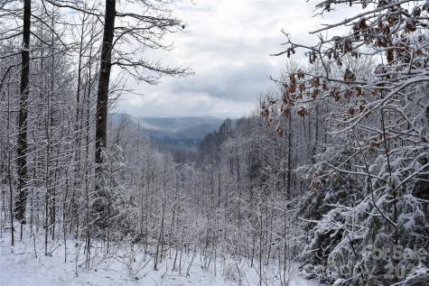 0000 Pinnacle Mountain Road Zirconia NC 28790
