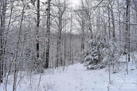 0000 Pinnacle Mountain Road Zirconia NC 28790