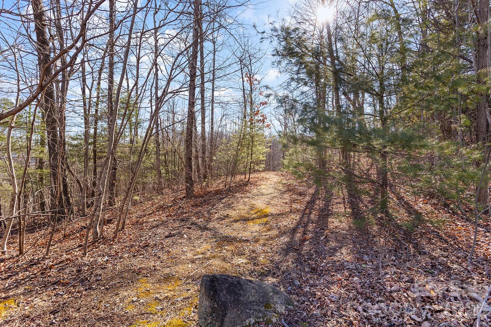0000 Pinnacle Mountain Road Zirconia NC 28790