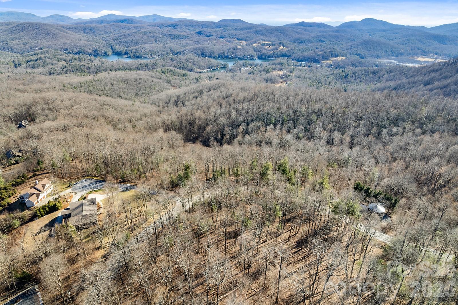 0000 Pinnacle Mountain Road Zirconia NC 28790