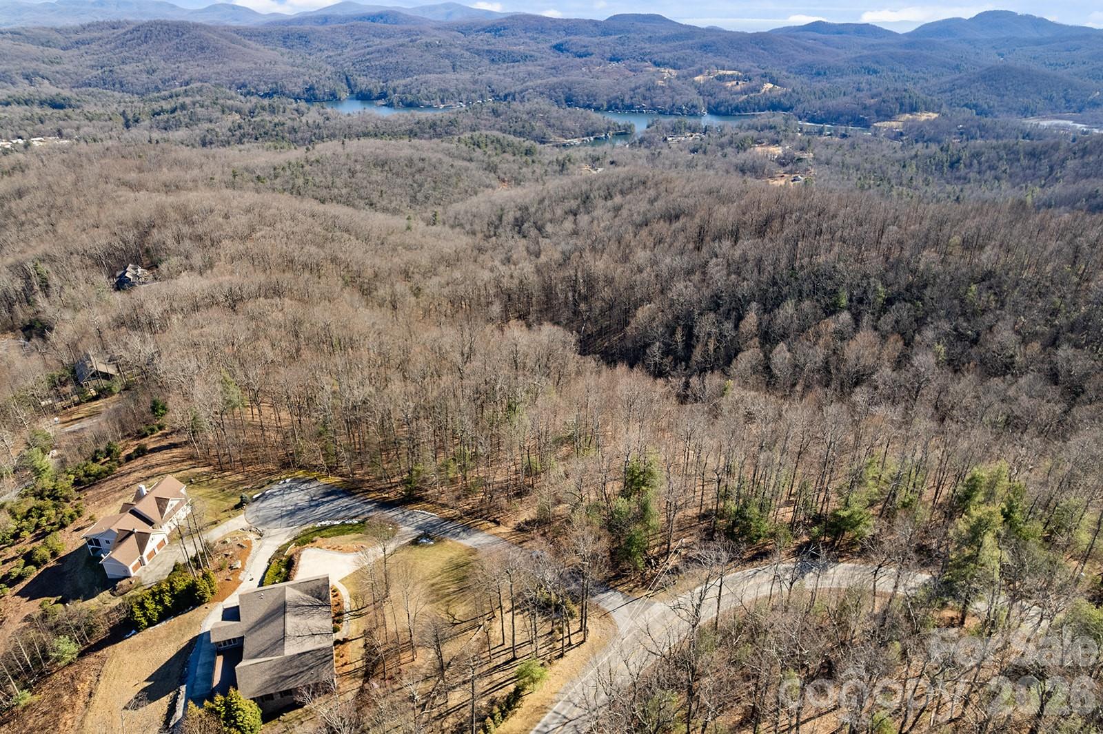 0000 Pinnacle Mountain Road Zirconia NC 28790