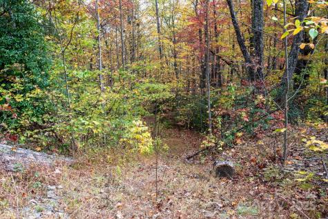 4B Lower Flat Creek Road Black Mountain NC 28711