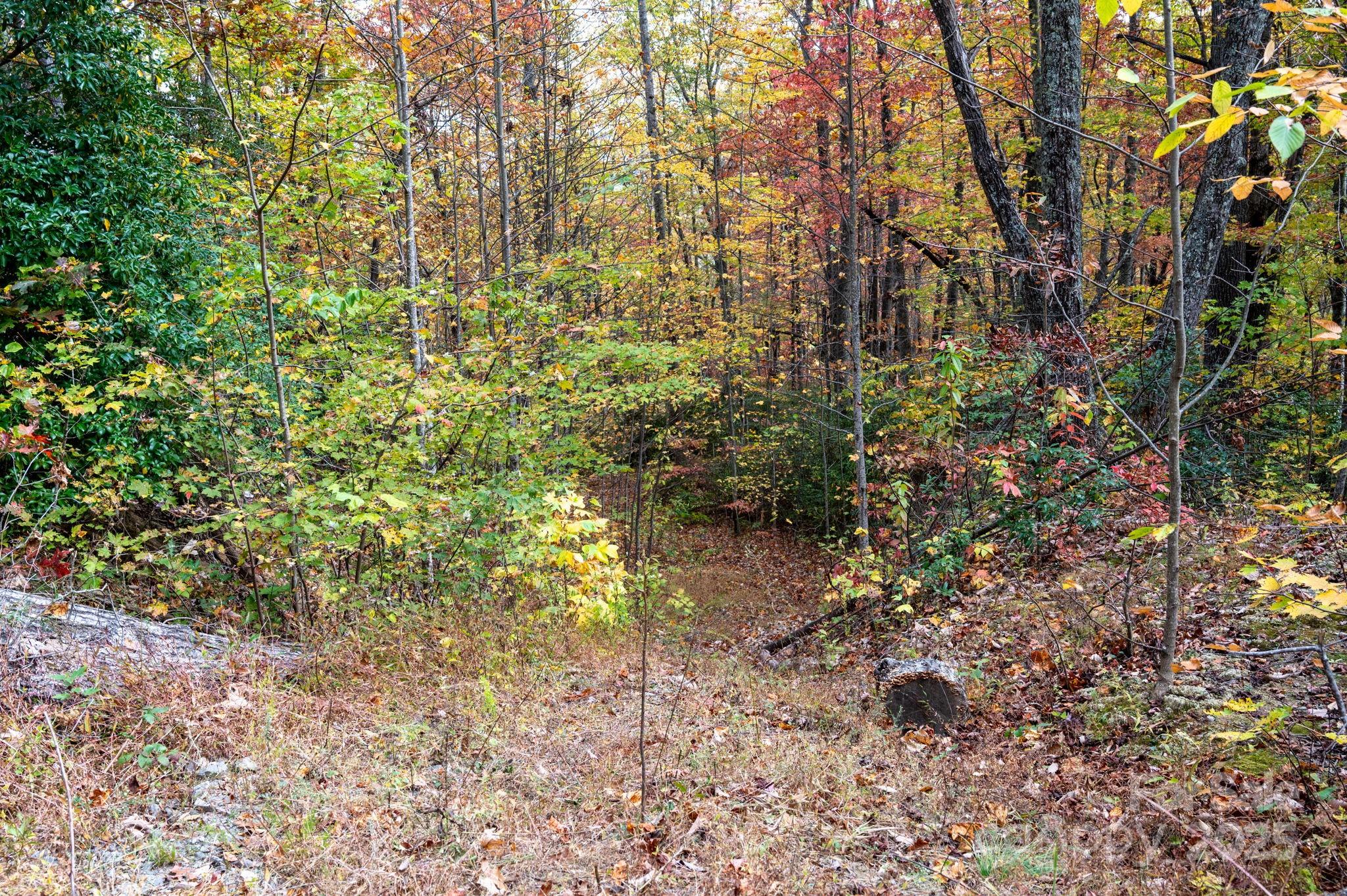 4B Lower Flat Creek Road Black Mountain NC 28711