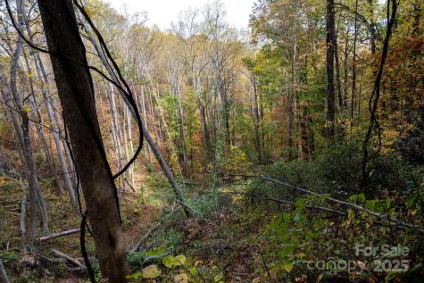4B Lower Flat Creek Road Black Mountain NC 28711