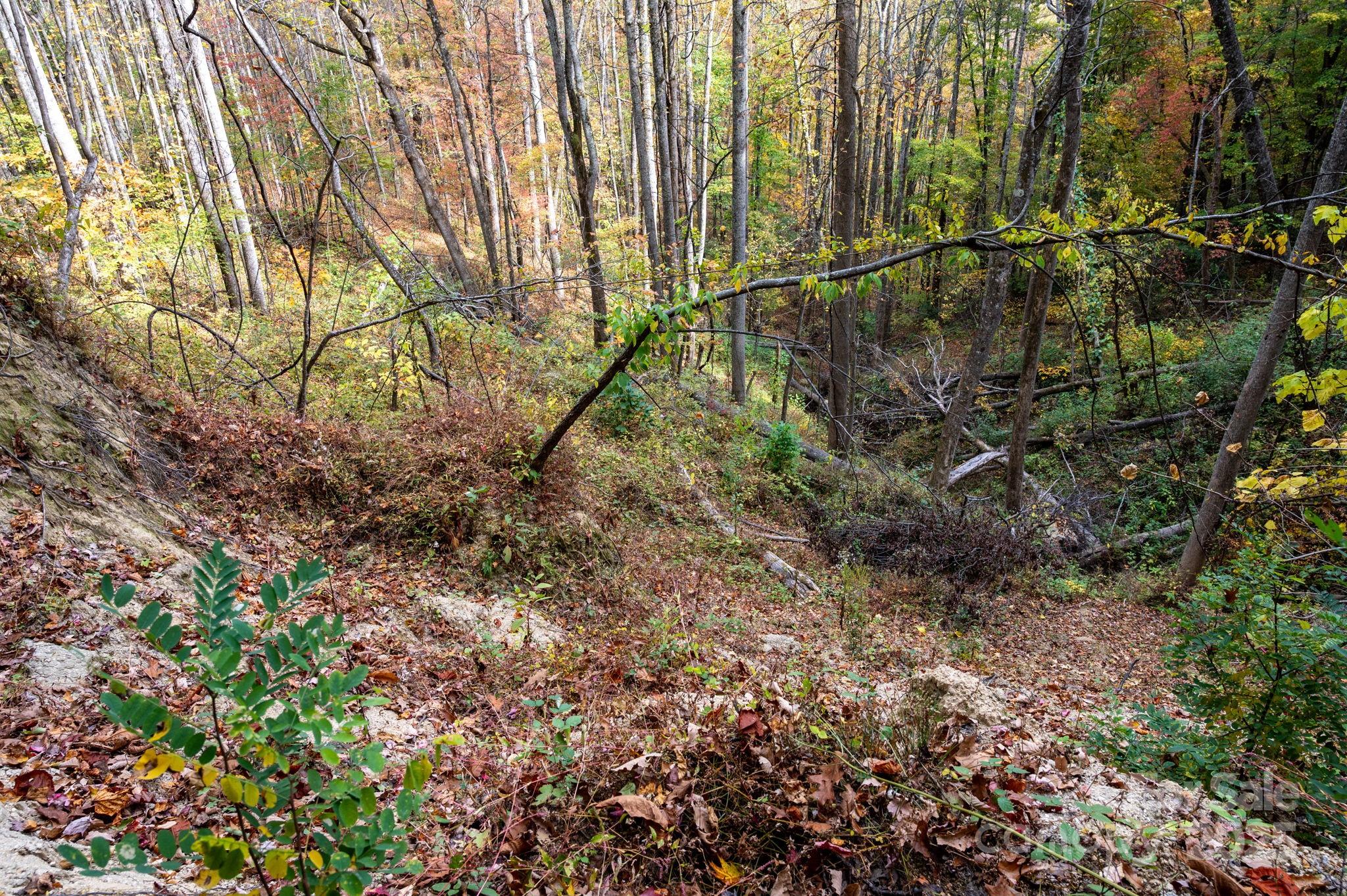 4B Lower Flat Creek Road Black Mountain NC 28711