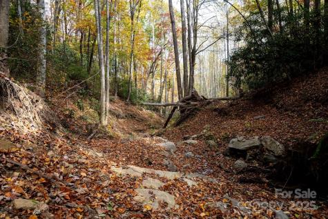 4B Lower Flat Creek Road Black Mountain NC 28711