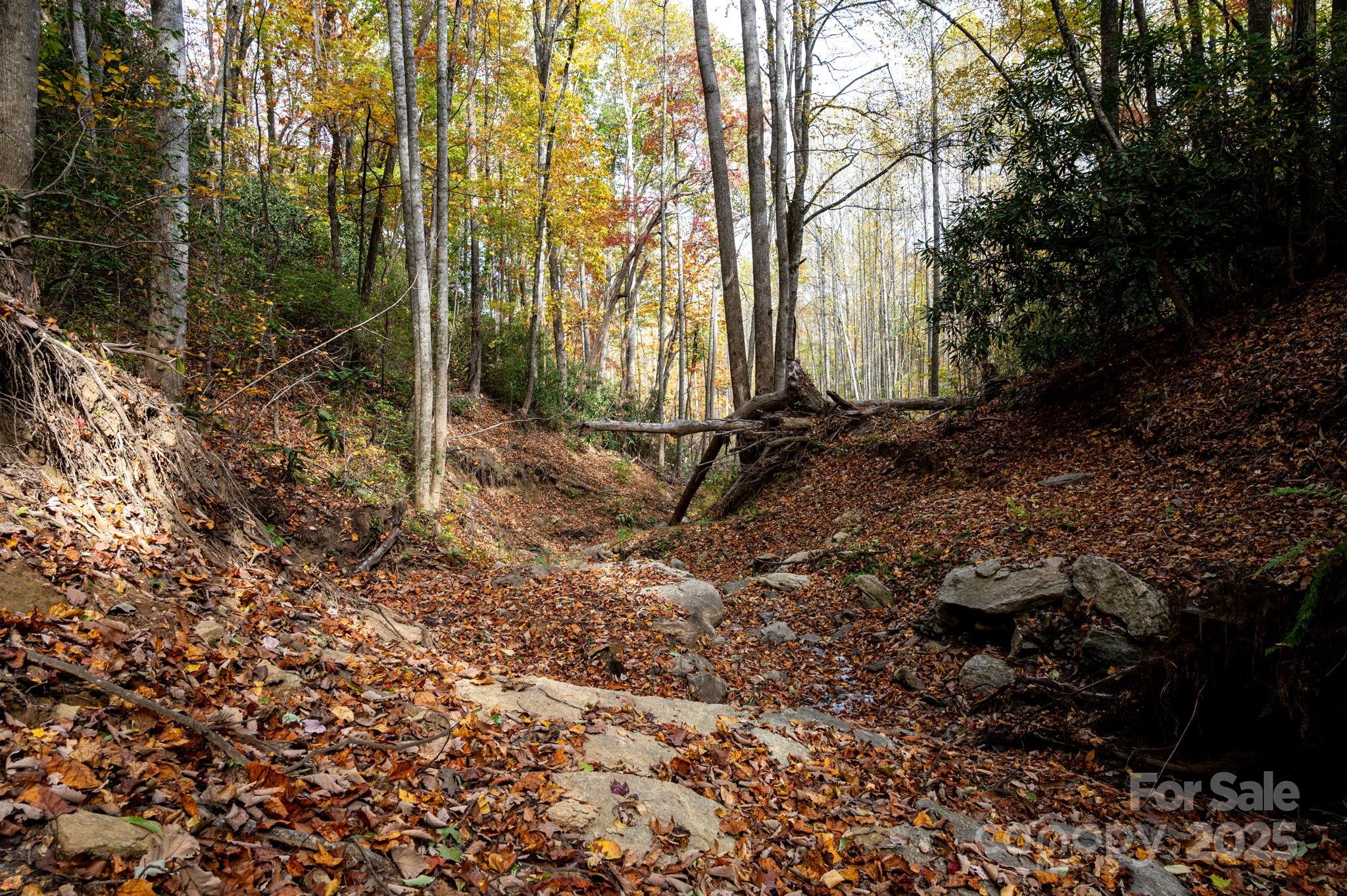 4B Lower Flat Creek Road Black Mountain NC 28711