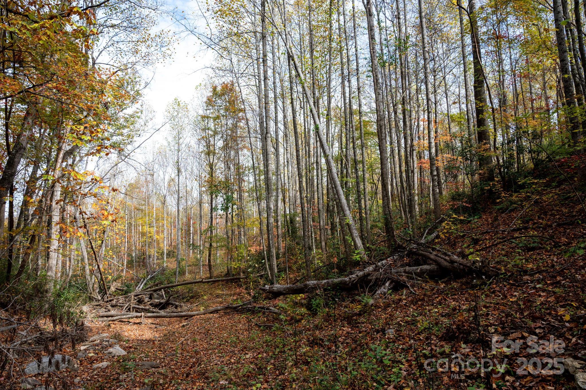 4B Lower Flat Creek Road Black Mountain NC 28711