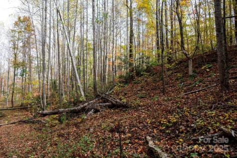 4B Lower Flat Creek Road Black Mountain NC 28711