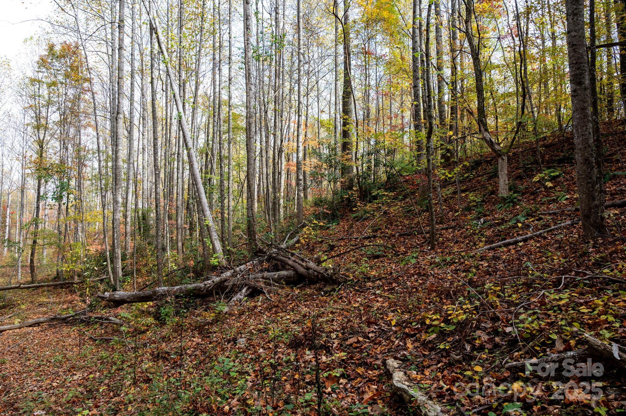 4B Lower Flat Creek Road Black Mountain NC 28711