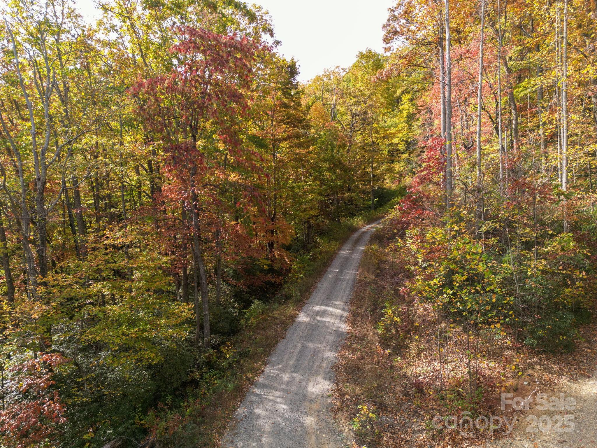 4B Lower Flat Creek Road Black Mountain NC 28711