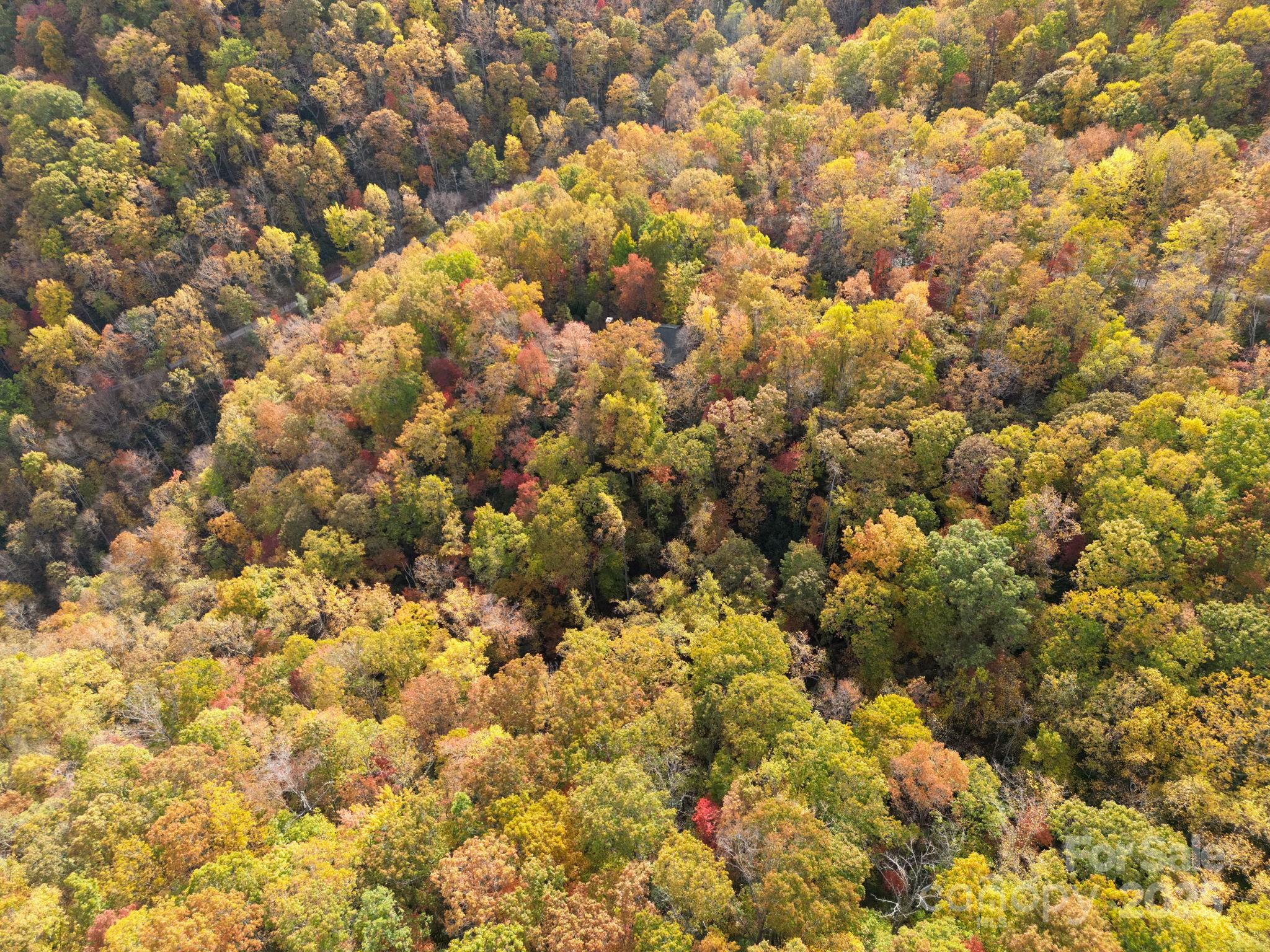 4B Lower Flat Creek Road Black Mountain NC 28711