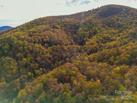 4B Lower Flat Creek Road Black Mountain NC 28711
