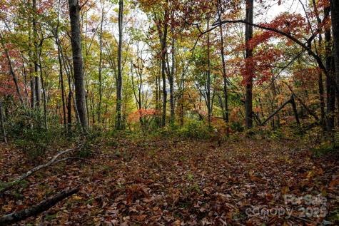 4B Lower Flat Creek Road Black Mountain NC 28711