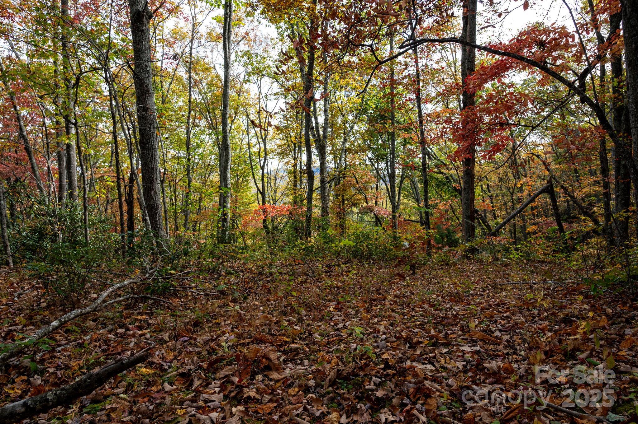 4B Lower Flat Creek Road Black Mountain NC 28711
