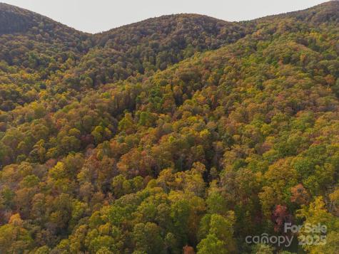 4B Lower Flat Creek Road Black Mountain NC 28711