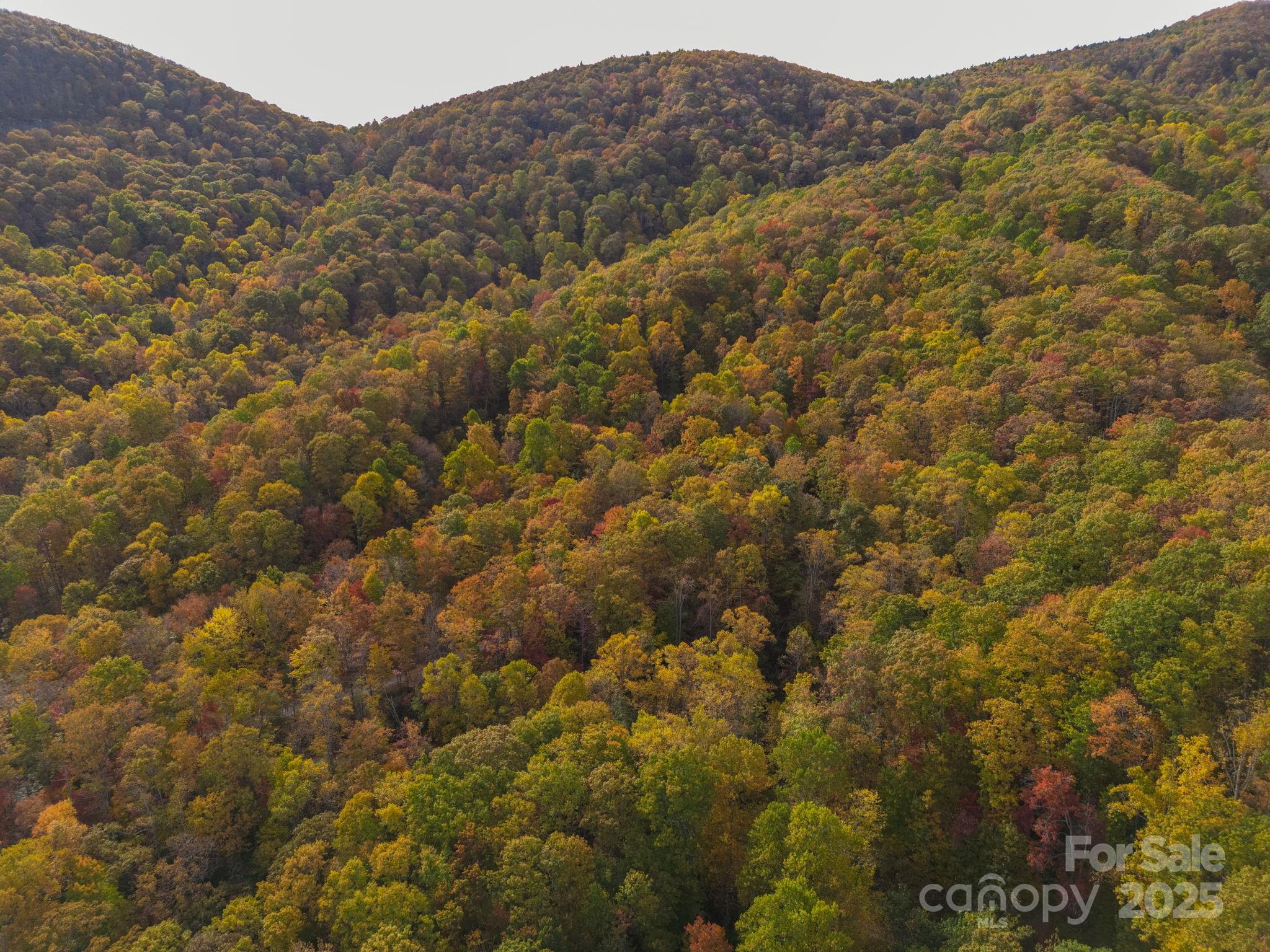 4B Lower Flat Creek Road Black Mountain NC 28711