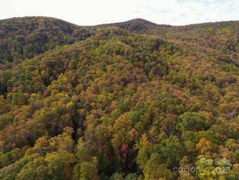 4B Lower Flat Creek Road Black Mountain NC 28711