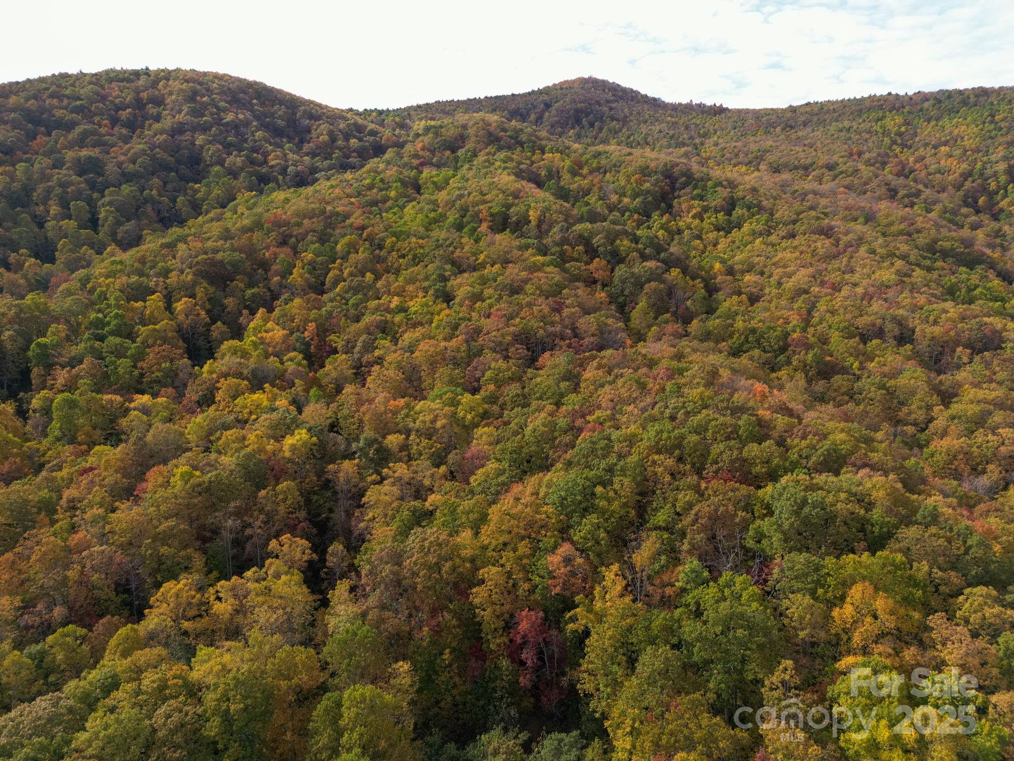4B Lower Flat Creek Road Black Mountain NC 28711