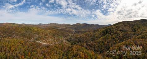 4B Lower Flat Creek Road Black Mountain NC 28711