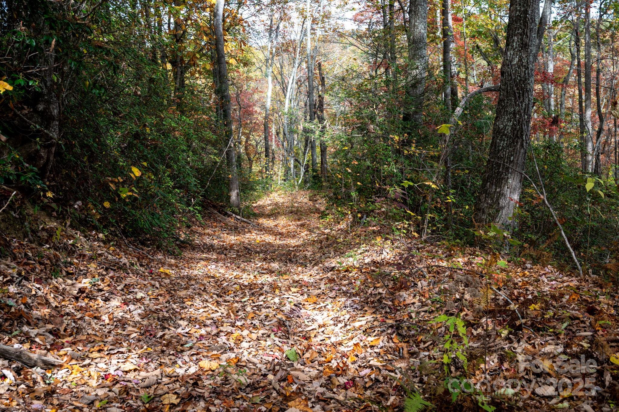 4B Lower Flat Creek Road Black Mountain NC 28711