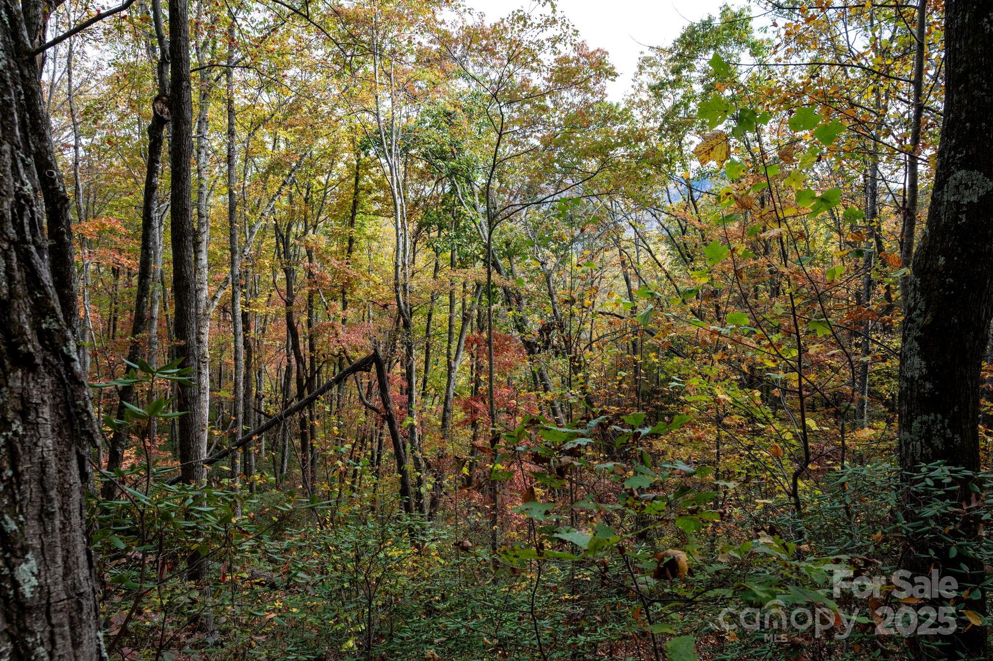 4B Lower Flat Creek Road Black Mountain NC 28711