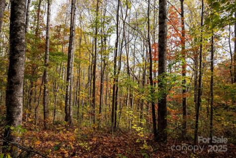 4B Lower Flat Creek Road Black Mountain NC 28711