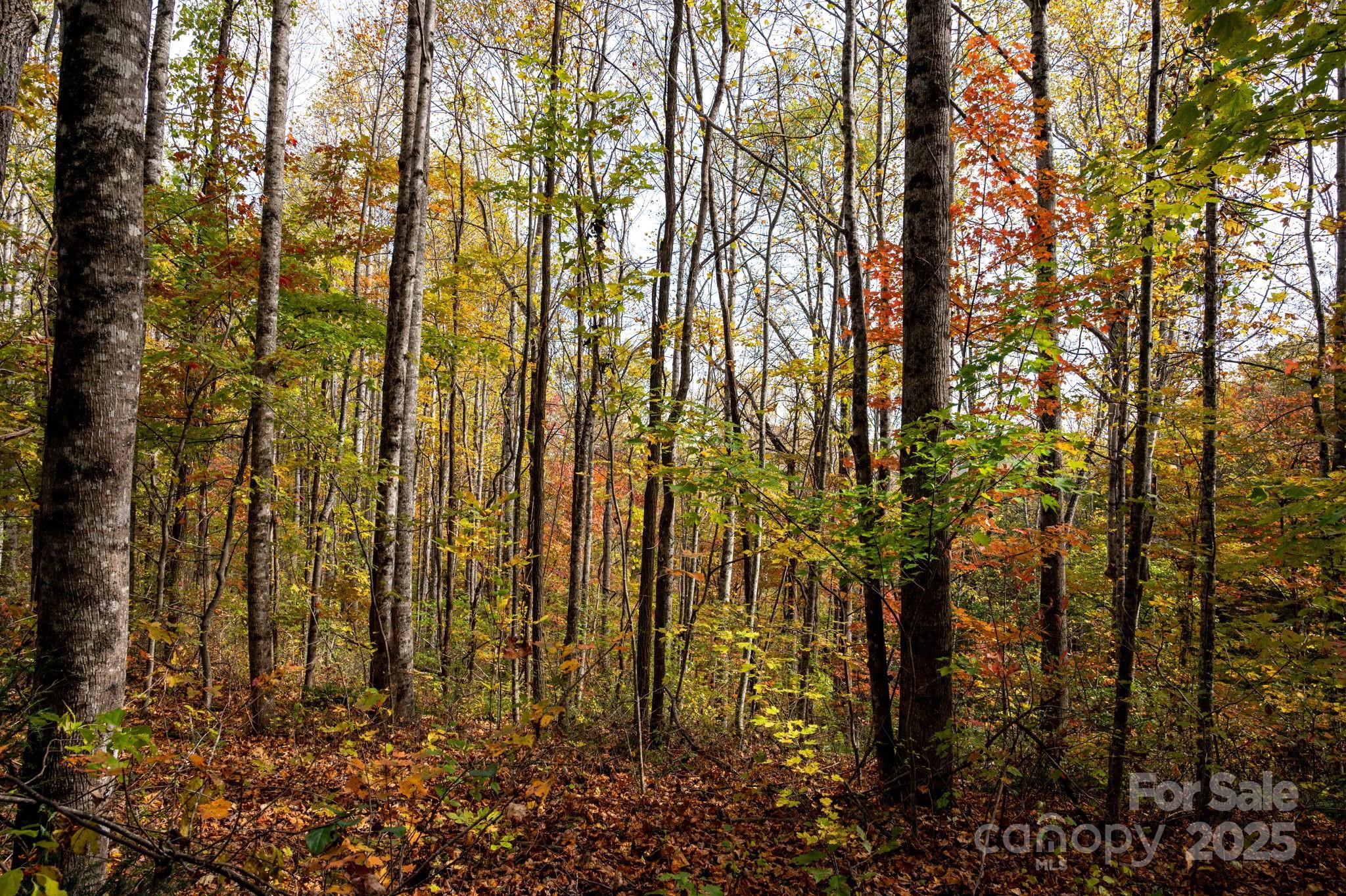 4B Lower Flat Creek Road Black Mountain NC 28711