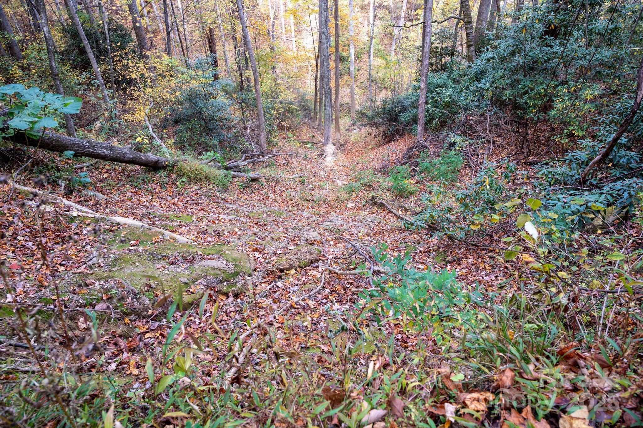 4B Lower Flat Creek Road Black Mountain NC 28711