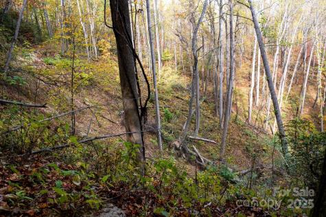 4B Lower Flat Creek Road Black Mountain NC 28711