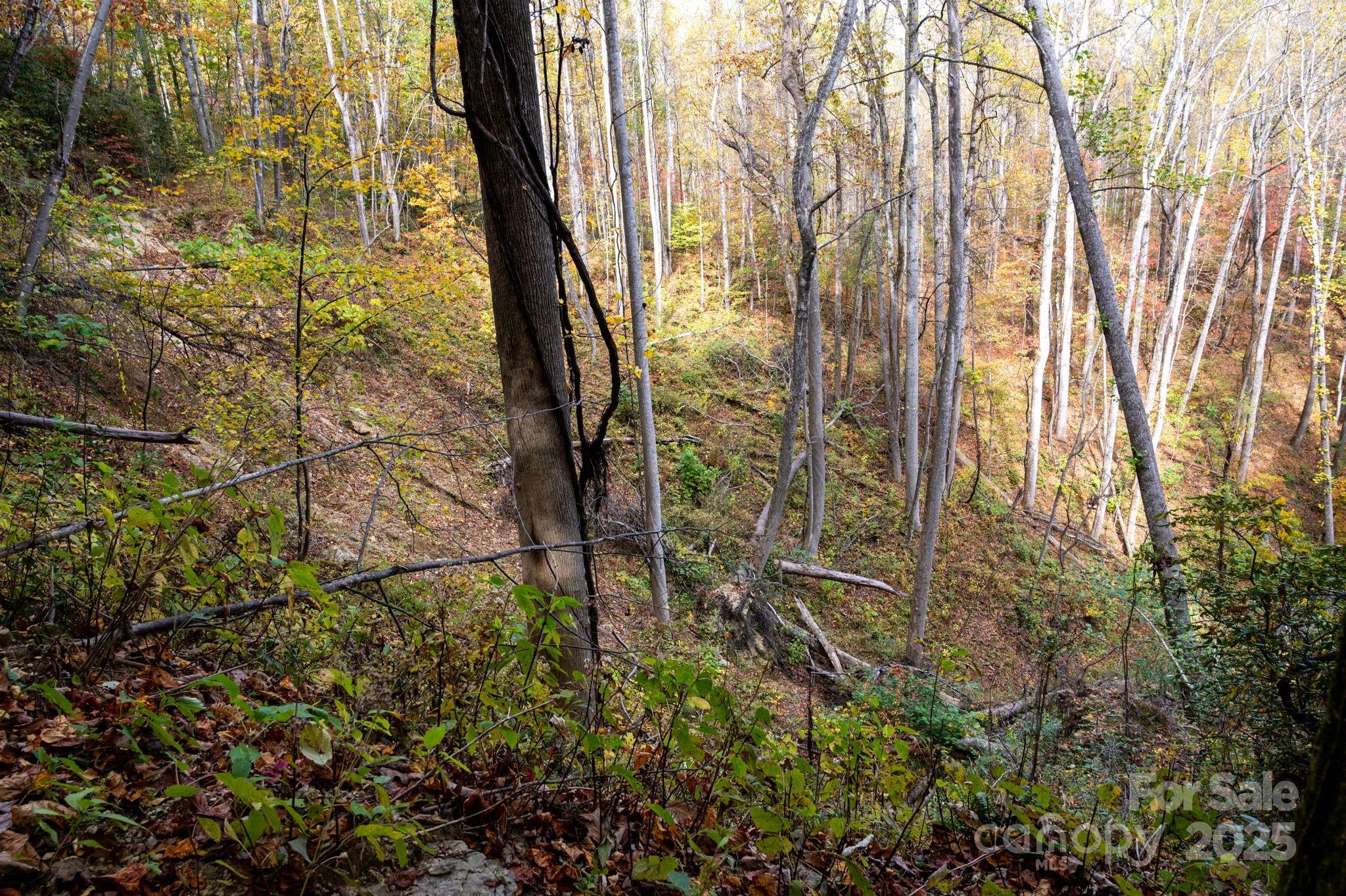 4B Lower Flat Creek Road Black Mountain NC 28711