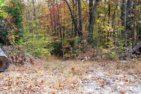 4B Lower Flat Creek Road Black Mountain NC 28711