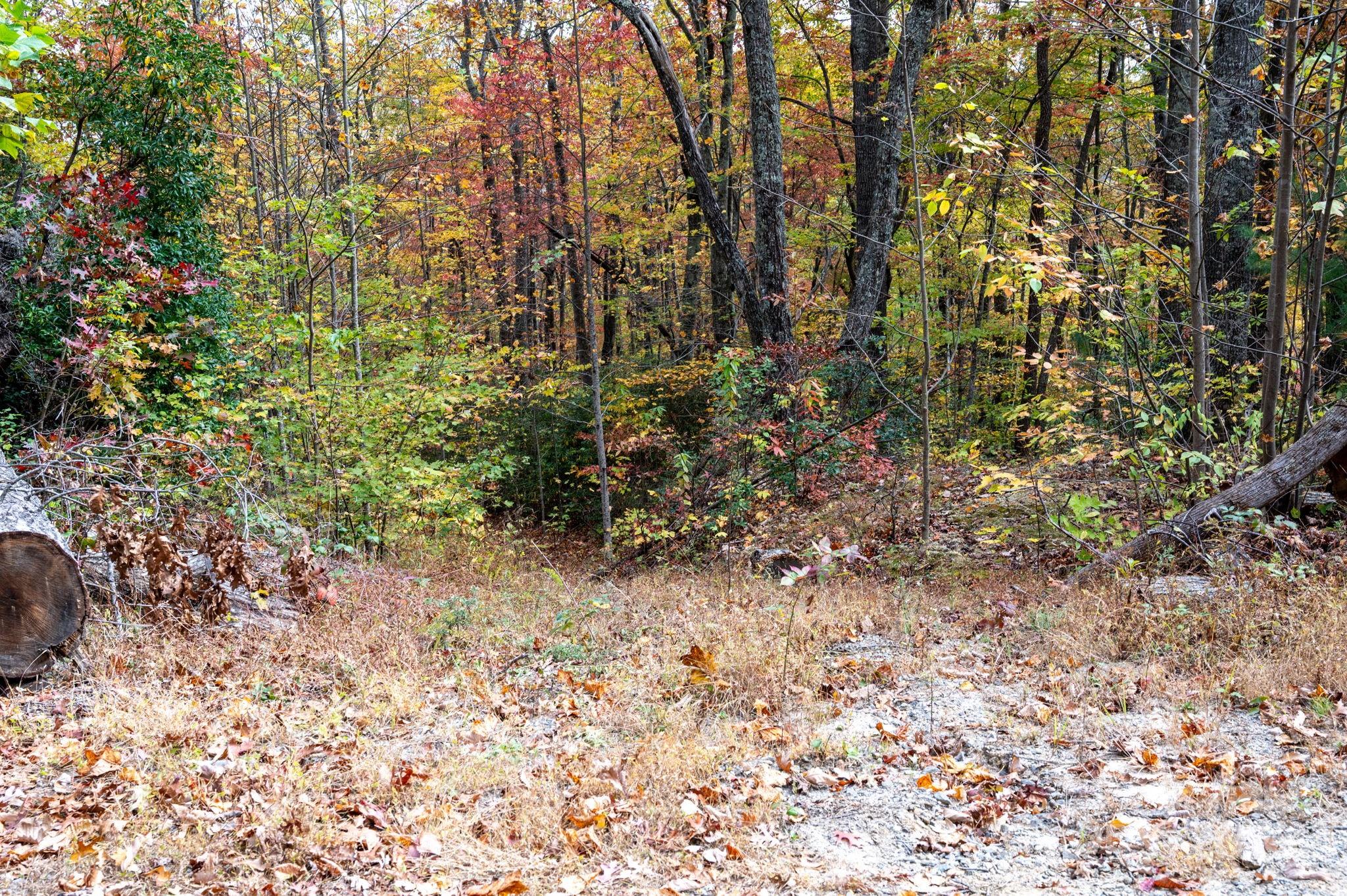 4B Lower Flat Creek Road Black Mountain NC 28711