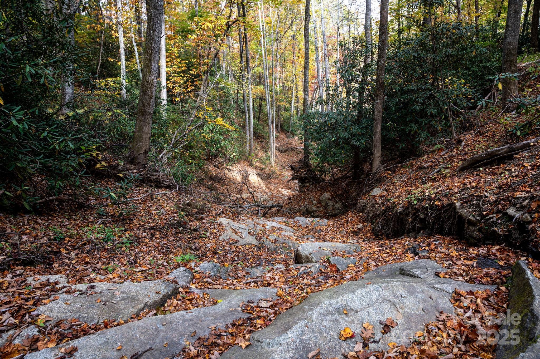 4B Lower Flat Creek Road Black Mountain NC 28711