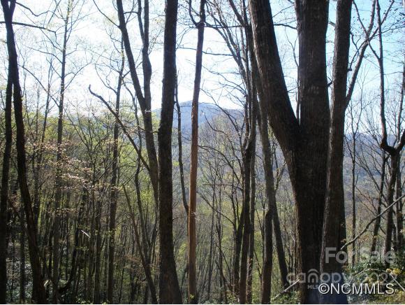 0 Anglers Ridge Road Maggie Valley NC 28751