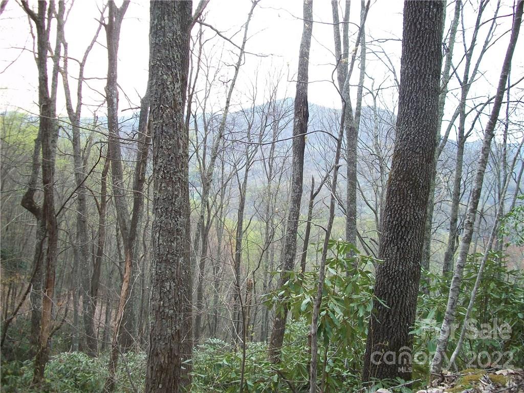 0 Anglers Ridge Road Maggie Valley NC 28751