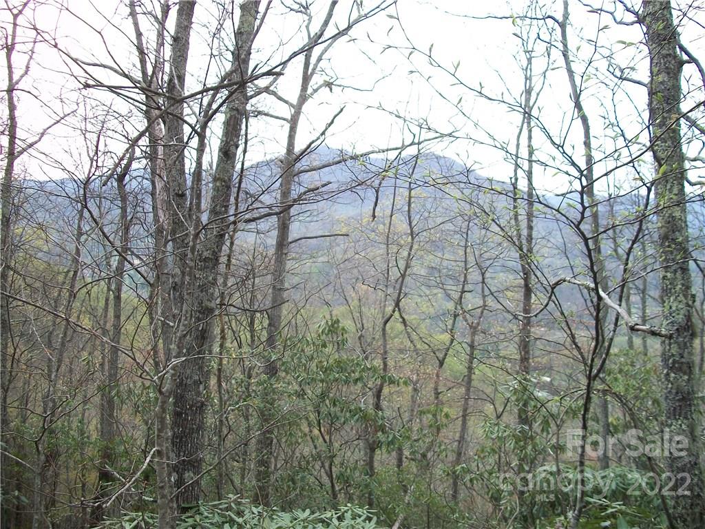 0 Anglers Ridge Road Maggie Valley NC 28751