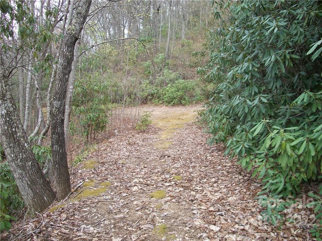 0 Anglers Ridge Road Maggie Valley NC 28751