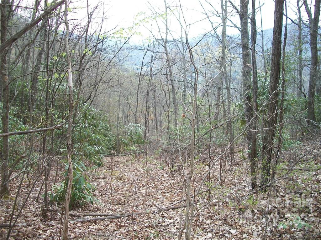 0 Anglers Ridge Road Maggie Valley NC 28751