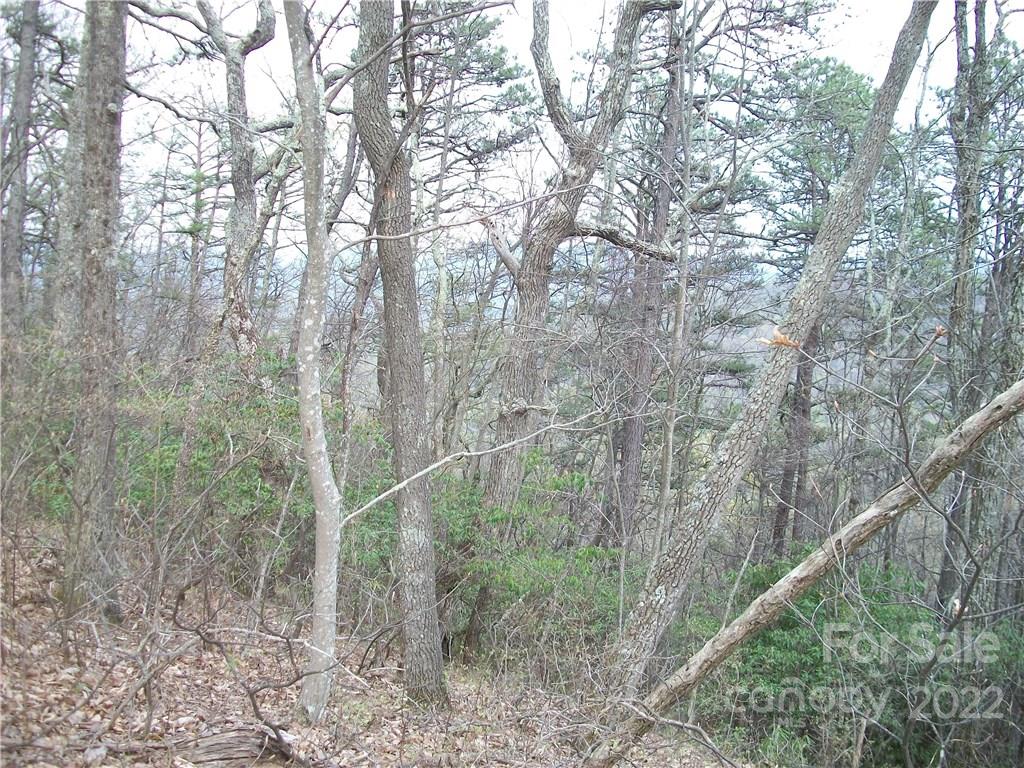 0 Anglers Ridge Road Maggie Valley NC 28751