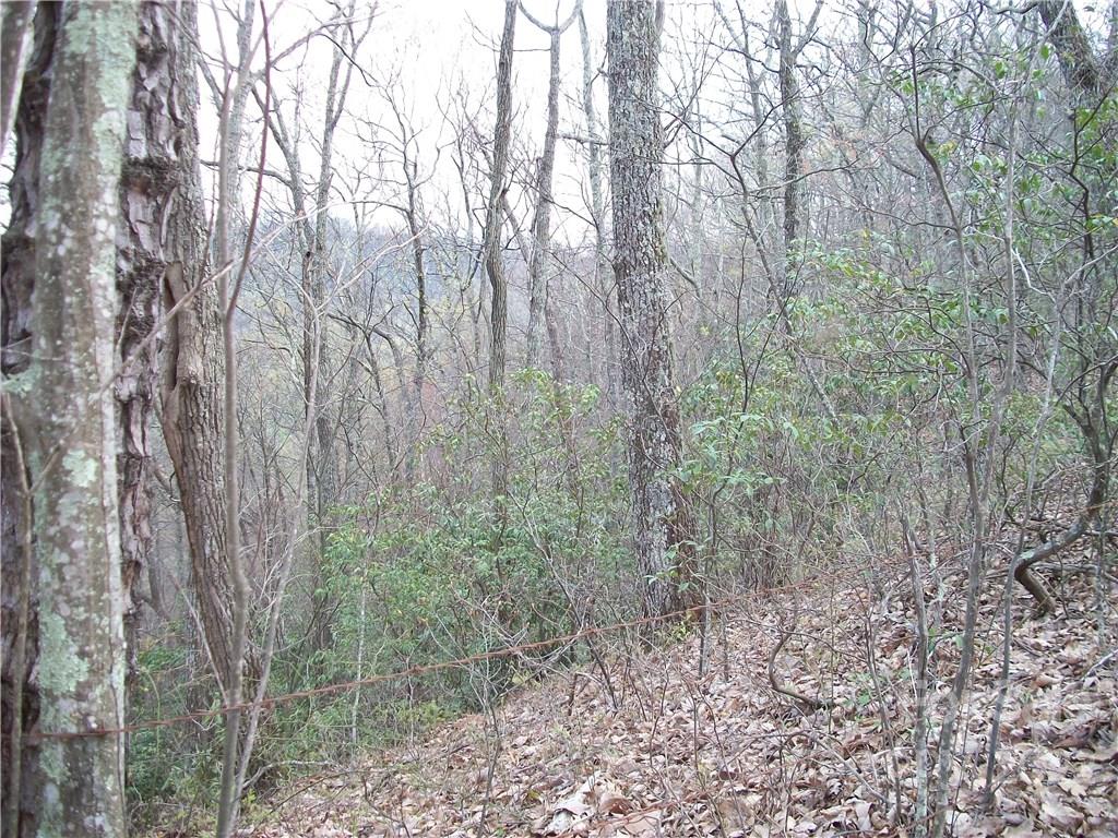 0 Anglers Ridge Road Maggie Valley NC 28751