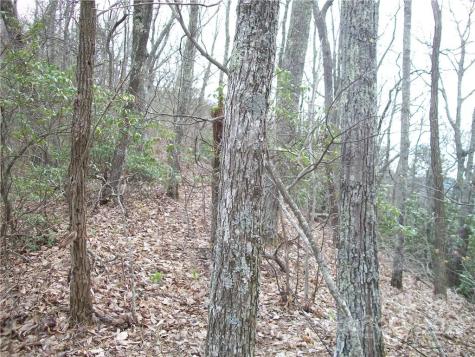 0 Anglers Ridge Road Maggie Valley NC 28751