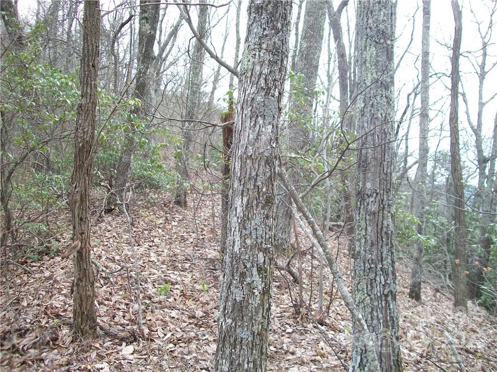 0 Anglers Ridge Road Maggie Valley NC 28751