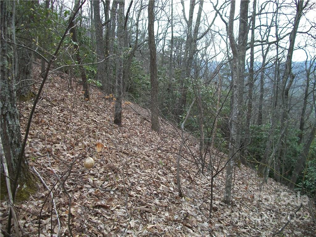0 Anglers Ridge Road Maggie Valley NC 28751